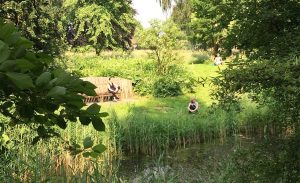 rust en stilte in de tuin van centrum Samaya