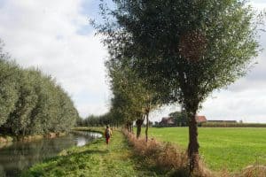 wandeling langs de Kromme Rijn bij Samaya