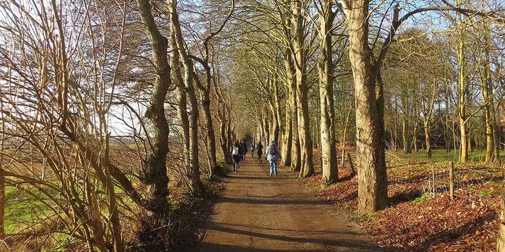 stilte wandeling en retraite klooster Slangenburg