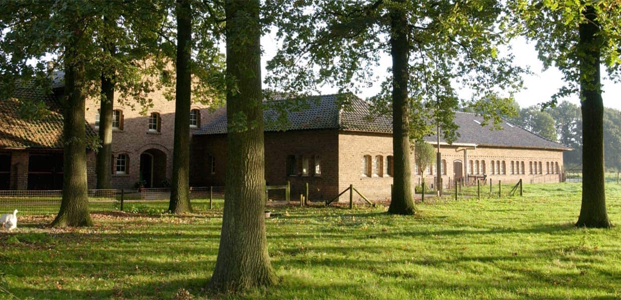 bomen en grasveld voor abdij van kloosterweekend betlehem