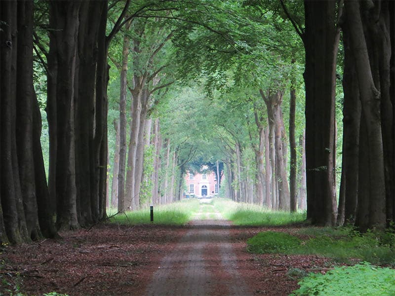 wandelen tijdens de stilte-retraite