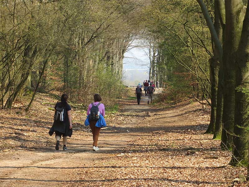 wandelaars door het bos in de herfst