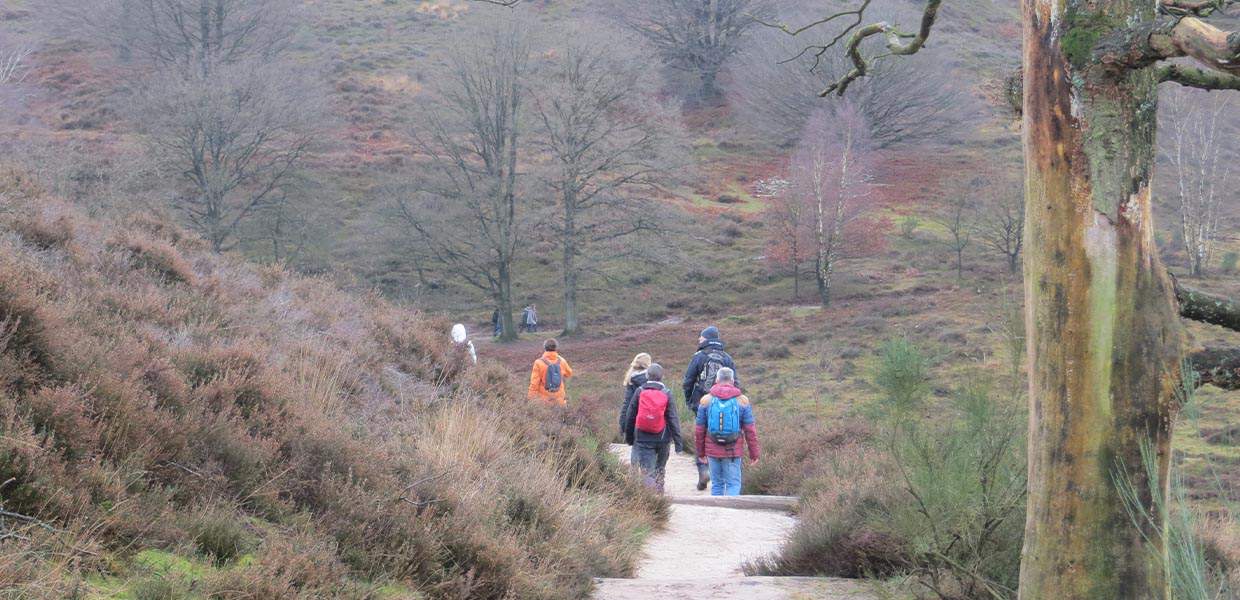 midwinter wandeling