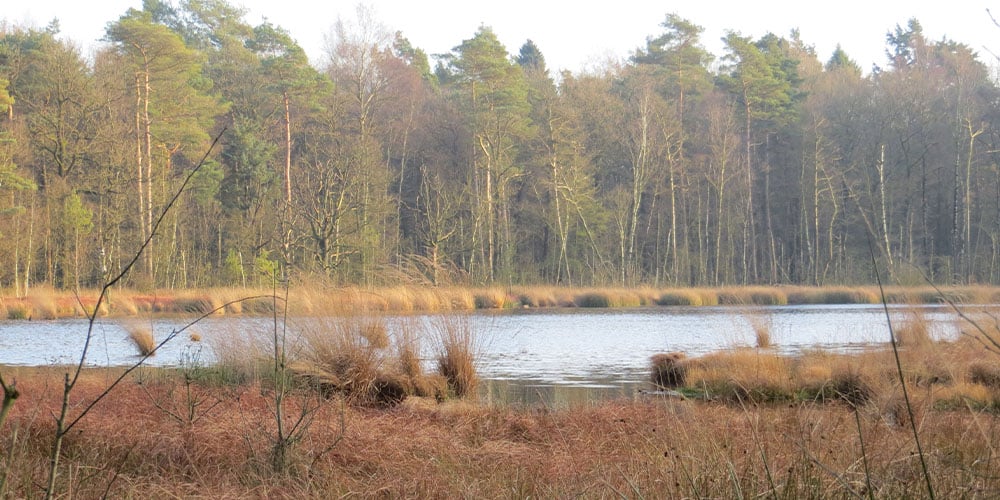 ven tussen Baarne en Hollandsche Rading