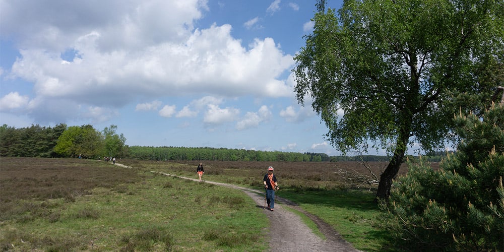 wandeling over de Elspeetsche Heide Veluwe