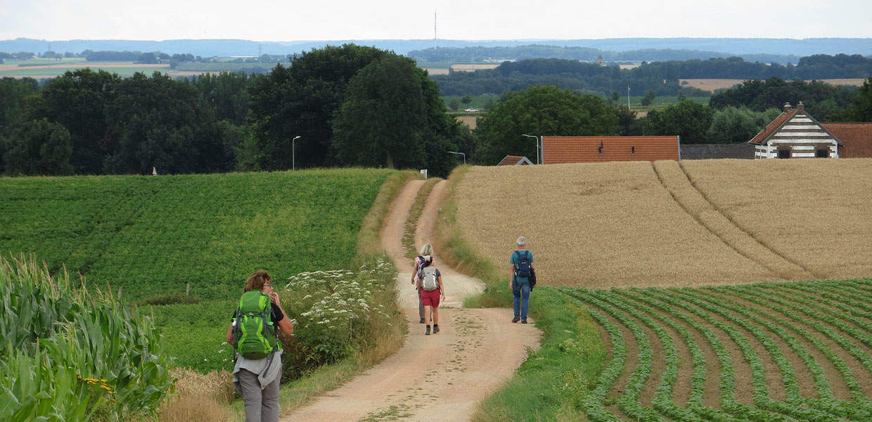 Krijtlandpad Zuid Limburg