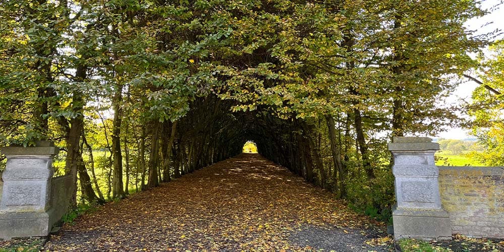 wandelen over het Krijtlandpad Zuid Limburg