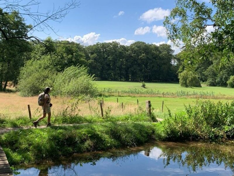 wandelaar langs een beek tijdens wandeltocht door het Renkumse beekdal