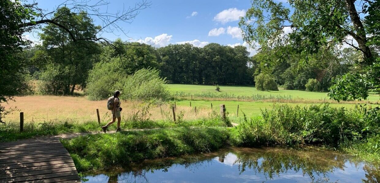 wandelaar langs een beek tijdens wandeltocht door het Renkumse beekdal